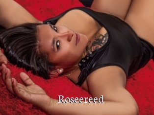 Roseereed