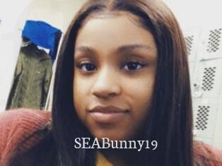 SEABunny19