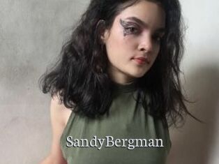 SandyBergman