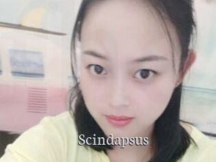 Scindapsus