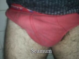 Seumum Free Host Empire