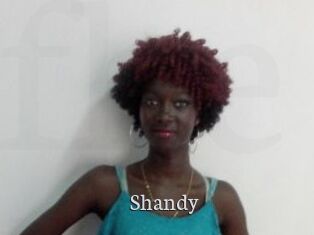 Shandy