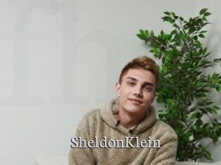 SheldonKlein