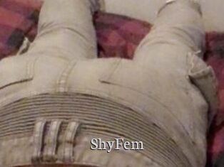 ShyFem
