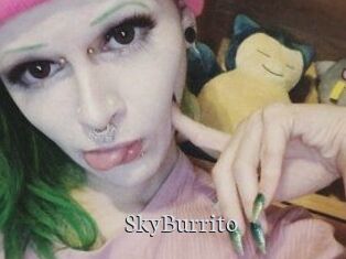 SkyBurrito