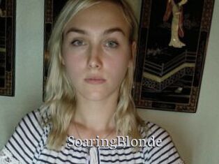 SoaringBlonde