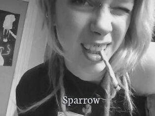 Sparrow