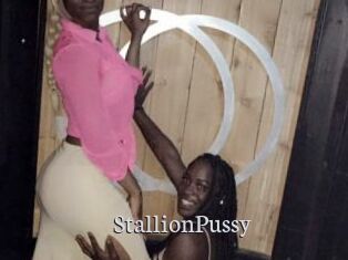 StallionPussy Free Host Empire