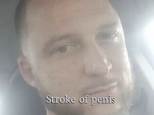 Stroke_of_penis