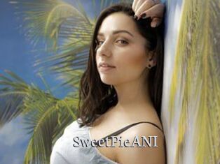 SweetPieANI