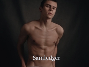 Samledger