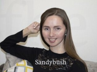 Sandybush