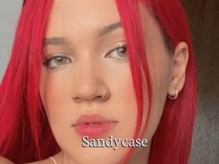 Sandycase