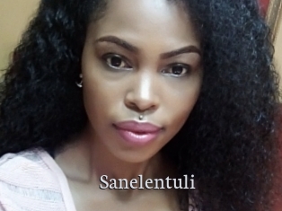 Sanelentuli