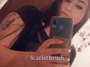 Scarlethrush