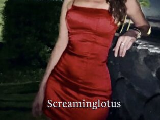 Screaminglotus