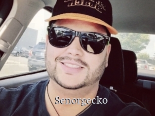 Senorgecko