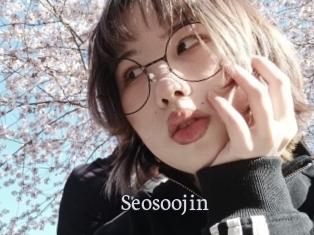 Seosoojin