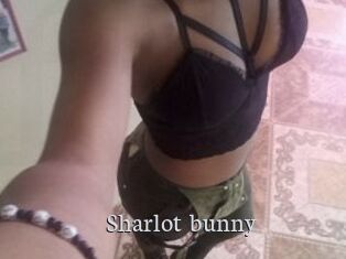 Sharlot_bunny