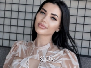 Shibo