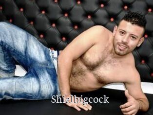 Shielbigcock