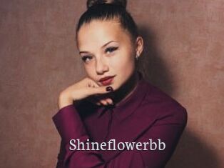 Shineflowerbb