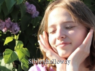 Sibleyhalloway