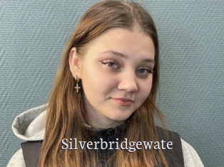 Silverbridgewate