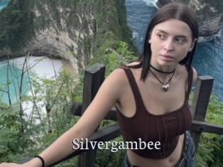 Silvergambee