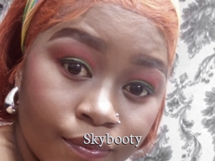 Skybooty