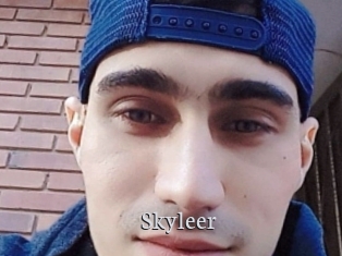 Skyleer