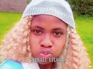 Small_tits018