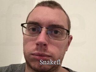 Snakefl