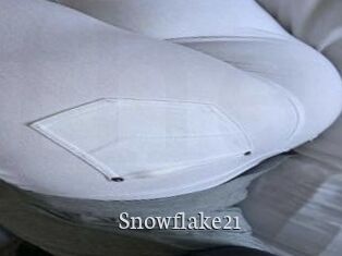 Snowflake21
