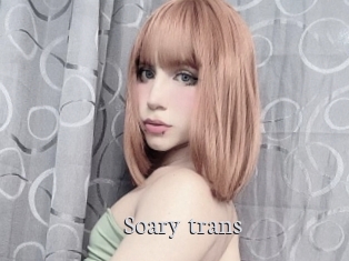 Soary_trans