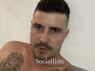 Sociallion