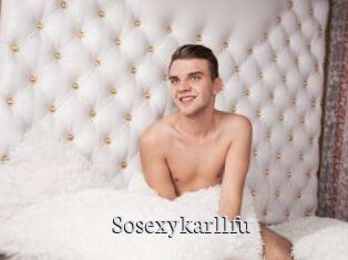 Sosexykarllfu