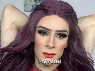 Sotoami