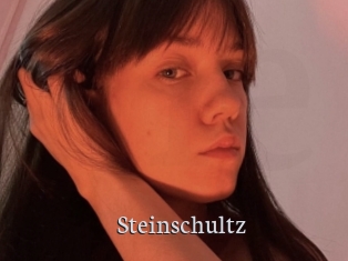 Steinschultz
