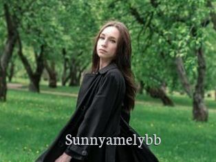 Sunnyamelybb