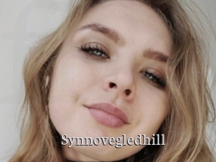 Synnovegledhill