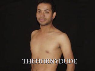 THEHORNYDUDE