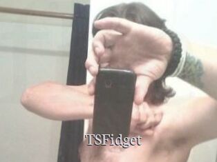 TSFidget