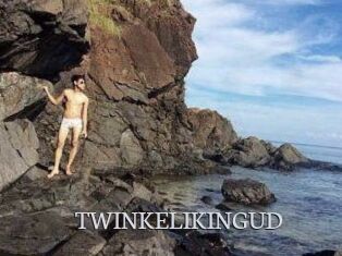TWINKELIKINGUD