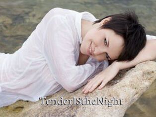 TenderIStheNight
