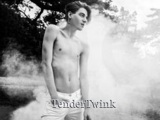 TenderTwink