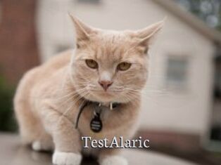 TestAlaric