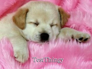 TestThingy