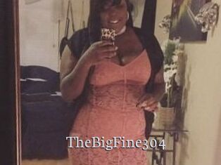TheBigFine304