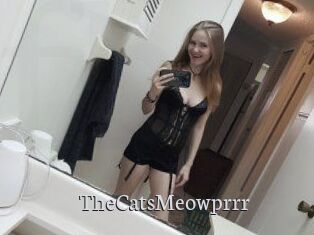 TheCatsMeowprrr
